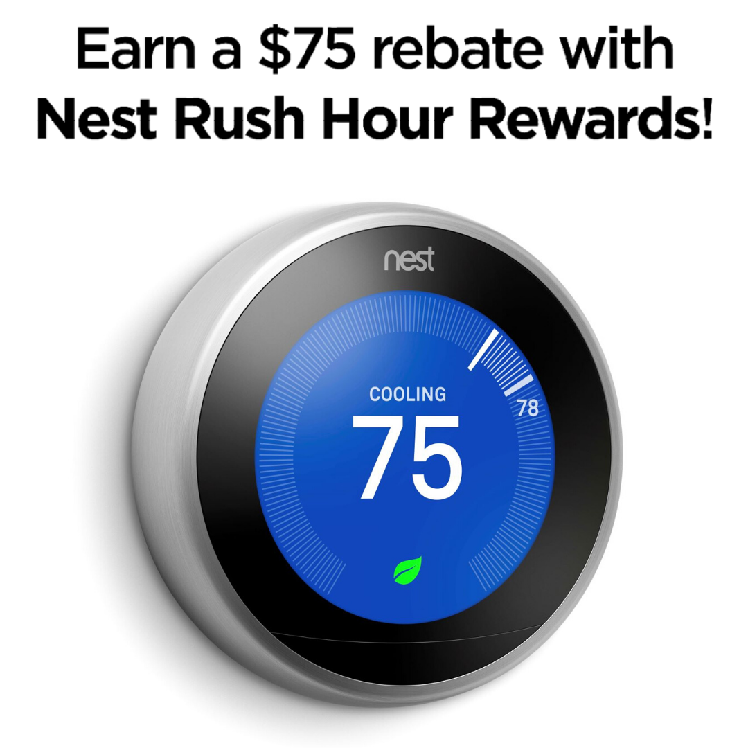 Nest Icon