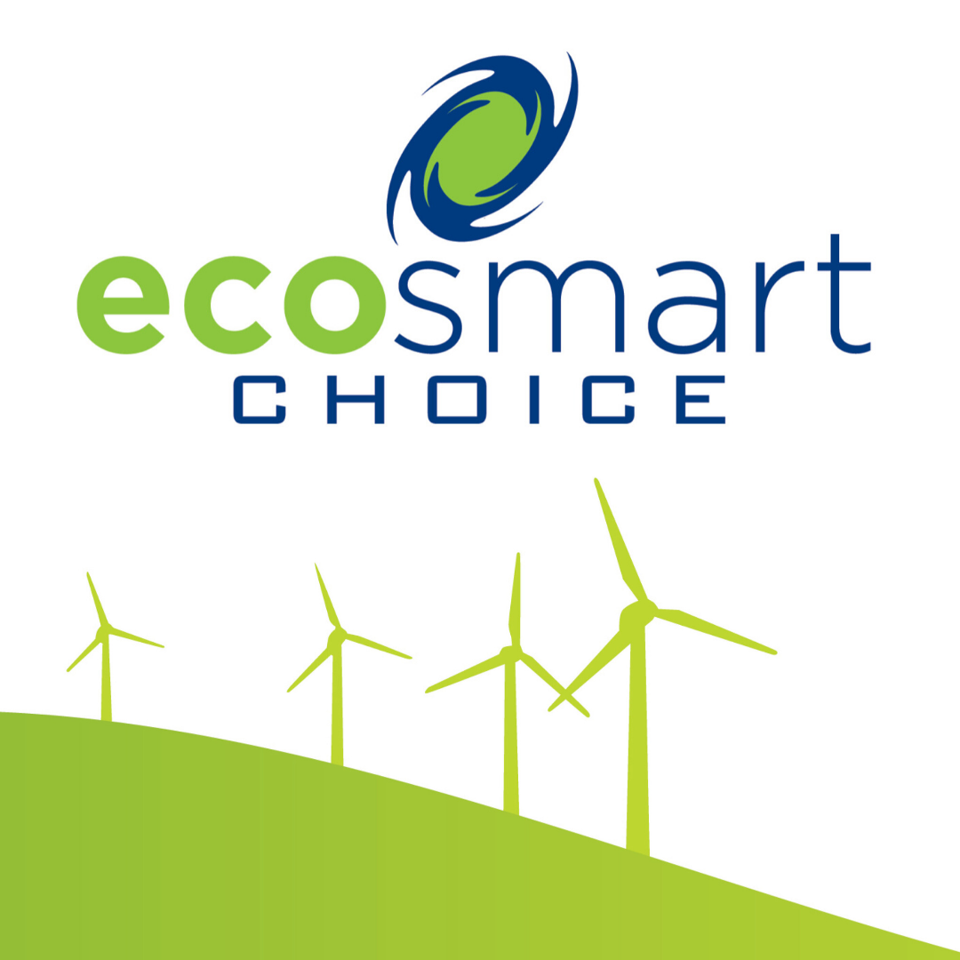 EcoSmart Icon