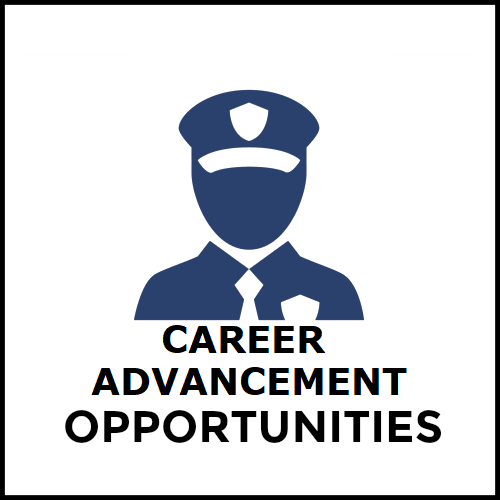 Career Advancement Opportunities Button