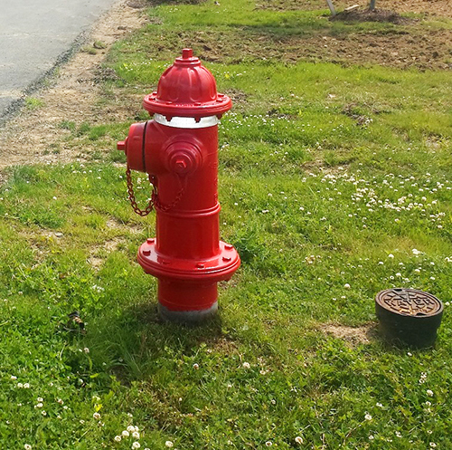 red fire hydrant photo