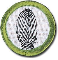 FP Merit Badge