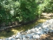 Creek Bank Reclamination After